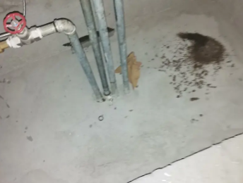二连浩特卫生间测漏水价格明细
